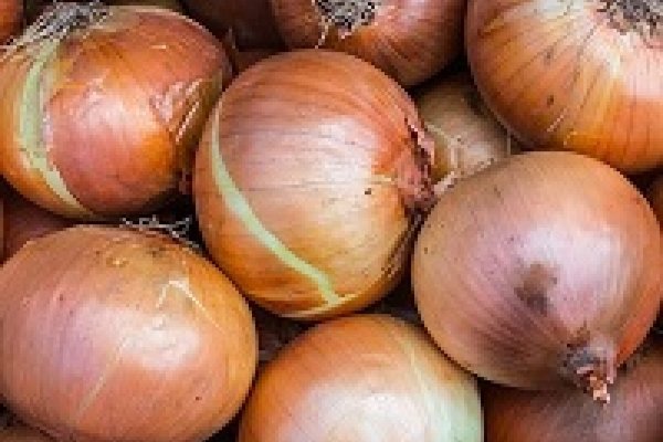 Через какой браузер можно зайти на кракен