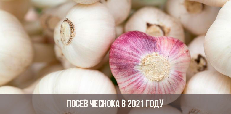 Kra26.cc