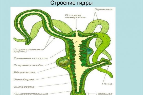 Ссылка кракен vtor run