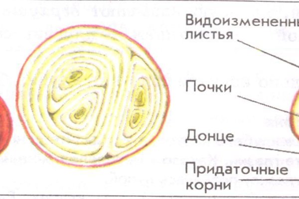 Кракен что можно купить